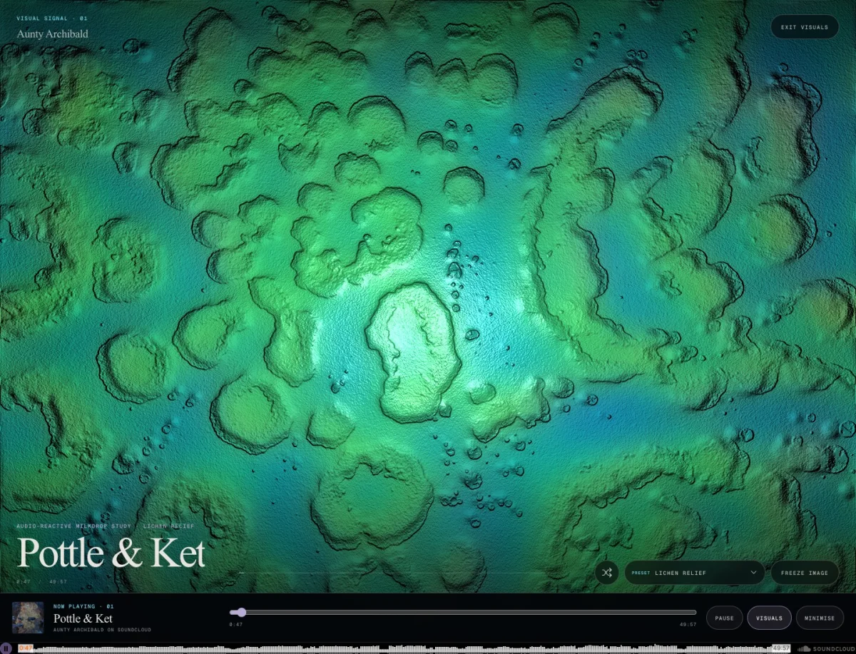 Aunty Archibald full-screen audio visualiser synchronised to a DJ mix
